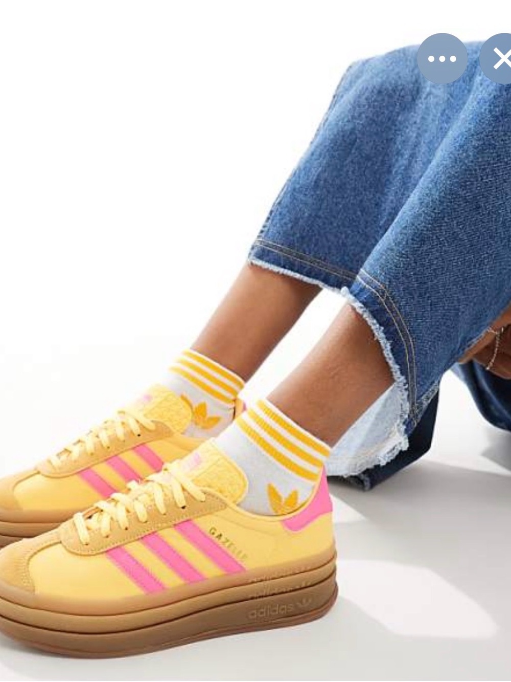 Gazelle Bold